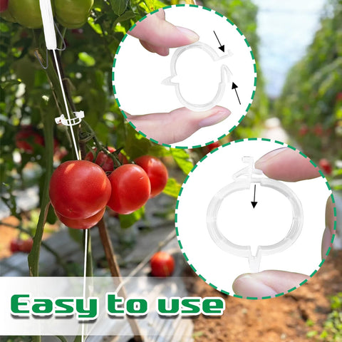 Srmayyi nylon rope 10m offers durable tying options for trellises.