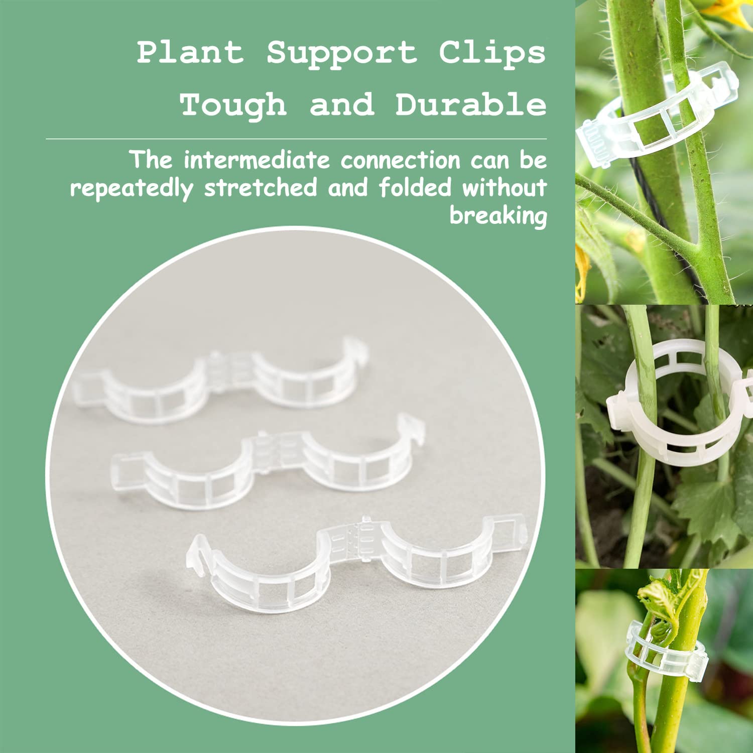 Srmayyi orchid clips promote airflow and gentle stem support