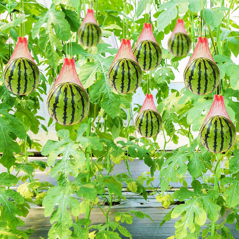Srmayyi hanging net for easy storage and portability.