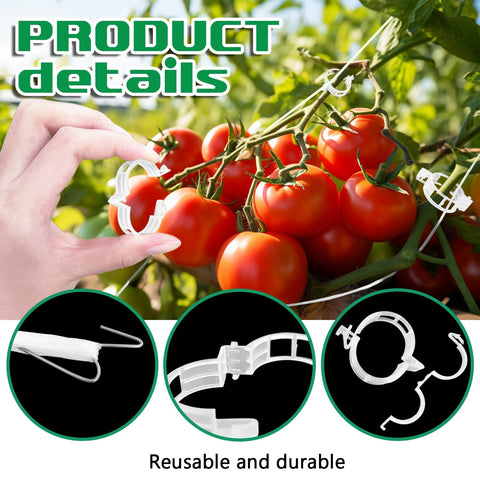 Srmayyi tomato holder hooks 27-5cm evenly support stems for airflow.