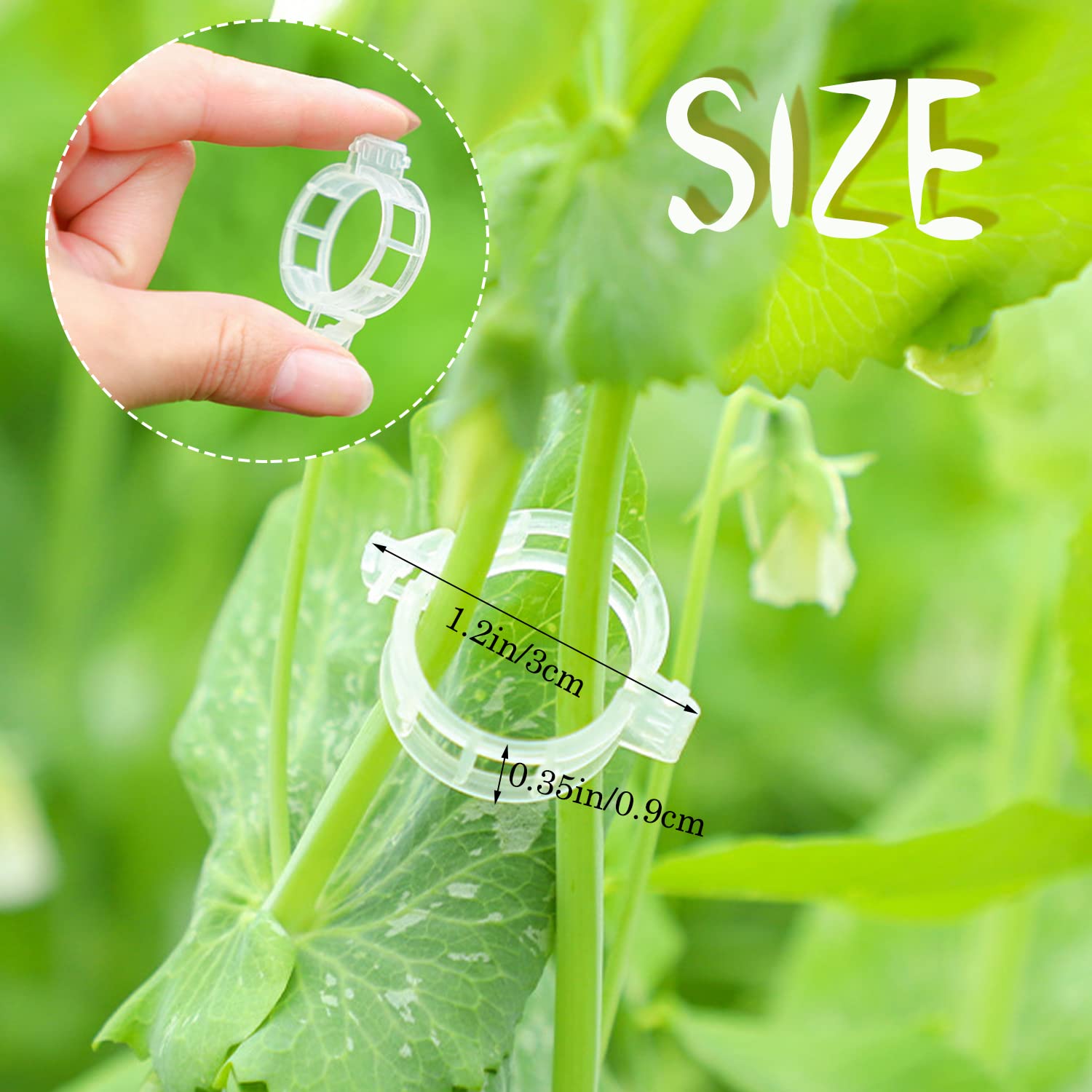 Srmayyi tomato trellis clips guide vines for neat, healthy growth