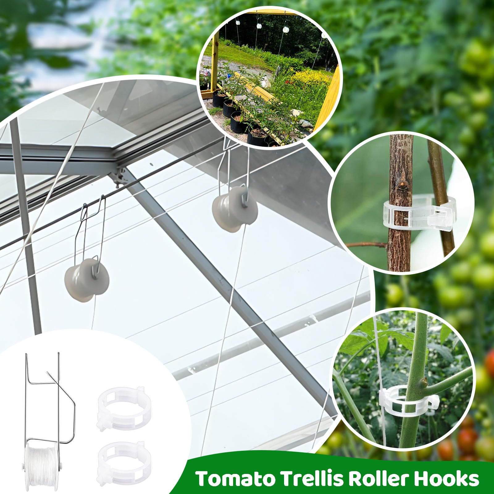 Srmayyi trellis system on a growing vine supports even growth and space efficiency.