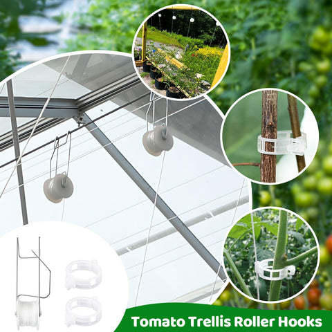 Srmayyi trellis system on a growing vine supports even growth and space efficiency.