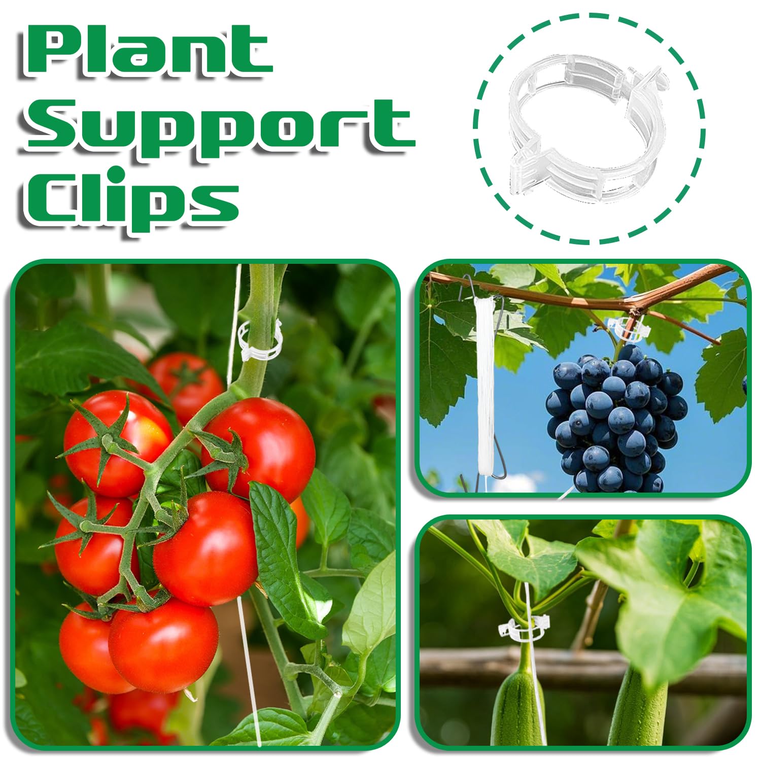 Srmayyi vine crop trellis supports up to heavier vines and improves organization.