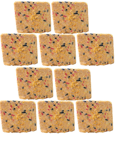 ST. ALBANS BAY SUET PLUS berry cakes front view ideal for attracting garden birds.