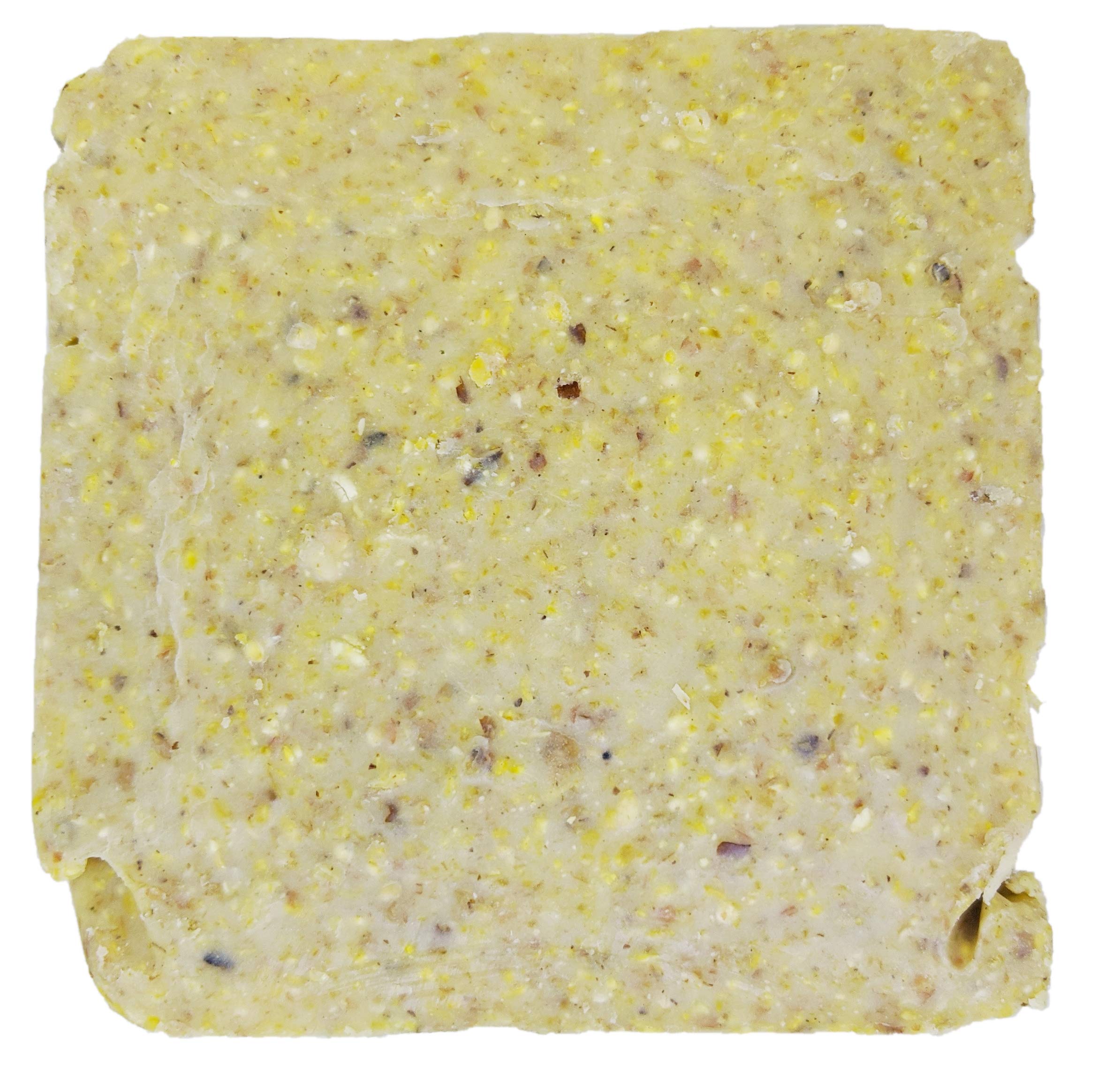 ST. ALBANS BAY SUET PLUS berry and peanut flavors attract woodpeckers and chickadees.