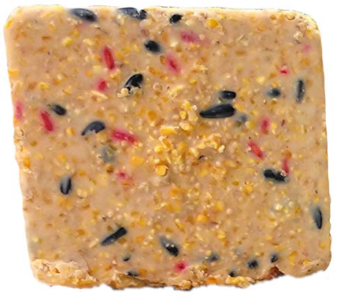 ST. ALBANS BAY SUET PLUS ingredients close-up with beef suet, corn and millet for birds.