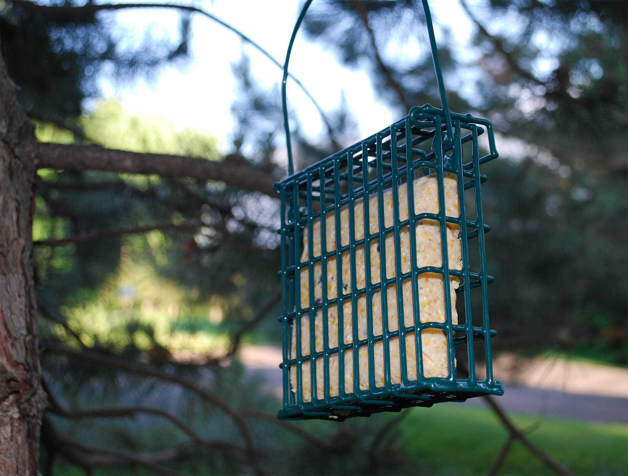 ST. ALBANS BAY SUET PLUS melt-resistance formula indicated on packaging.