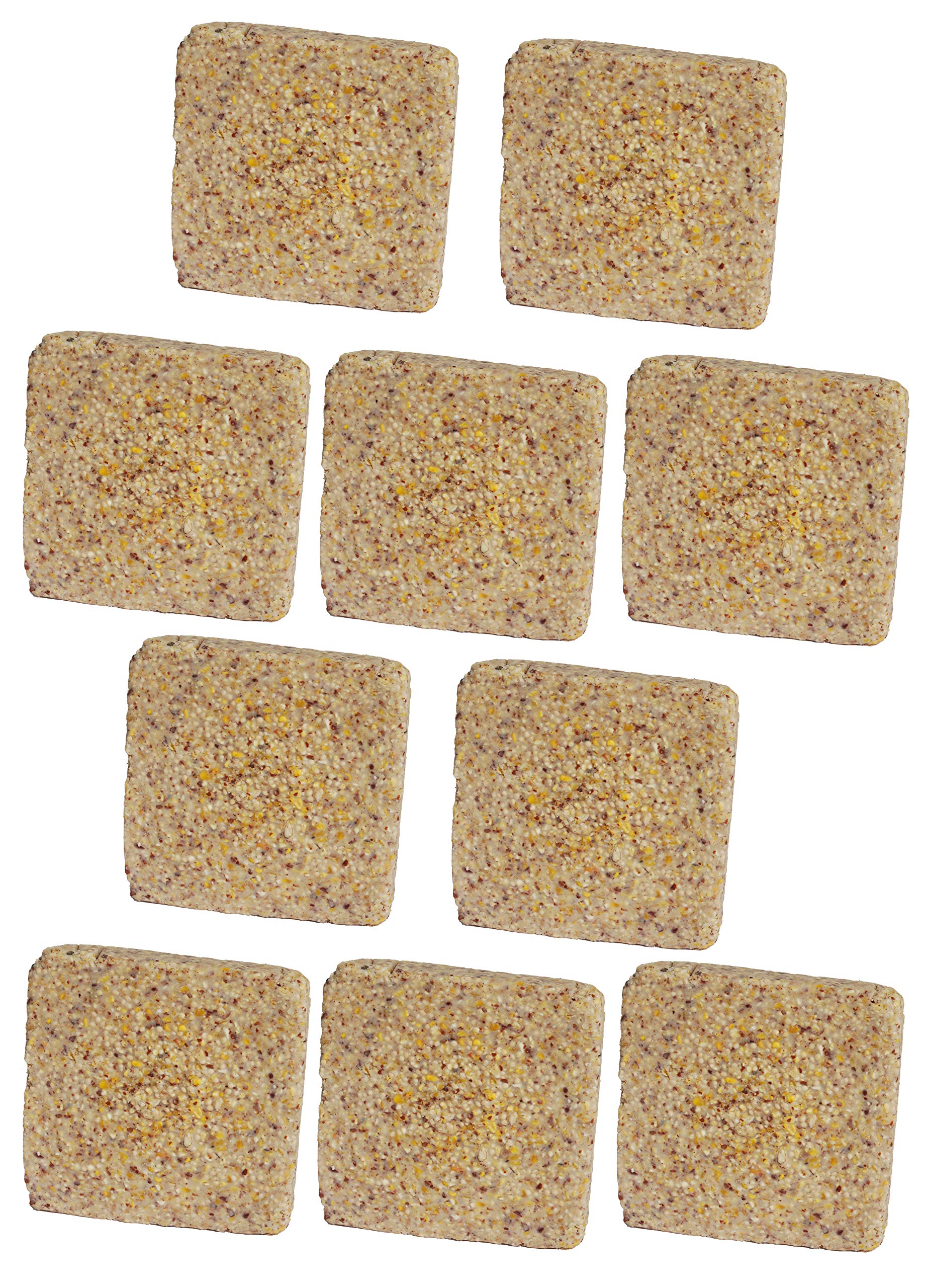 St. Albans Bay Suet Plus peanut 11oz pack image highlighting melt-resistant formula for year-round feeding.