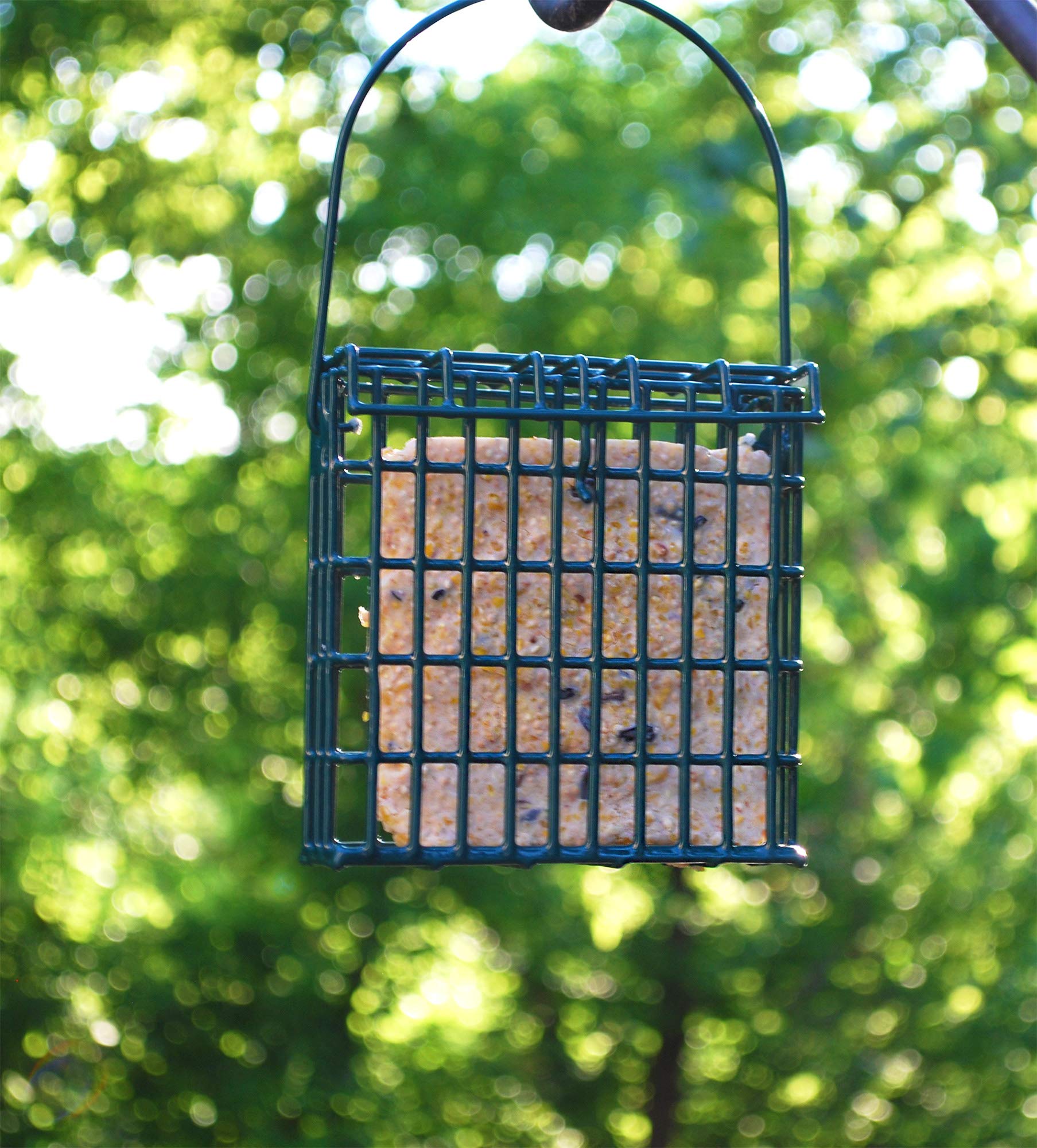 ST. ALBANS BAY SUET PLUS recyclable packaging highlights eco-friendly choice
