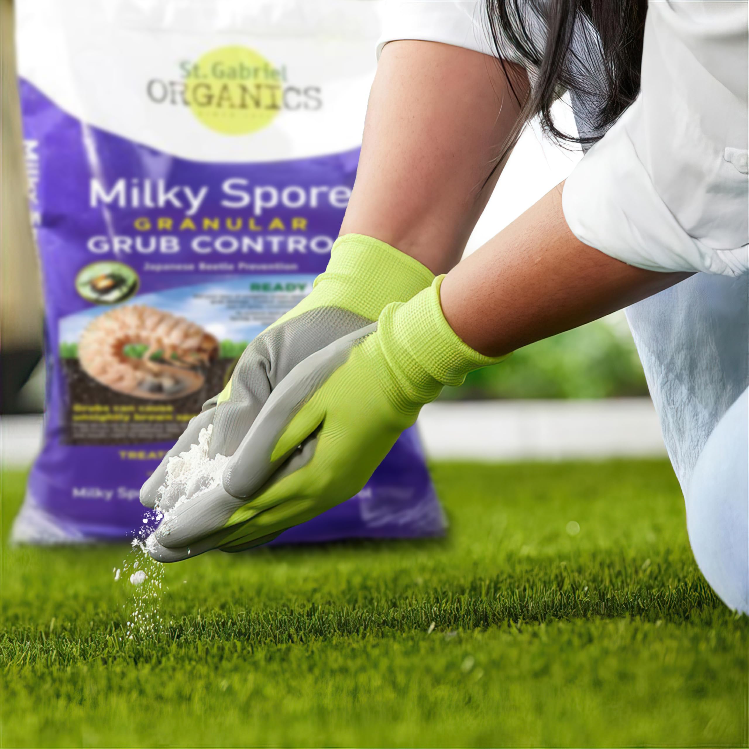St. Gabriel Milky Spore indicates a healthy lawn appearance after application.