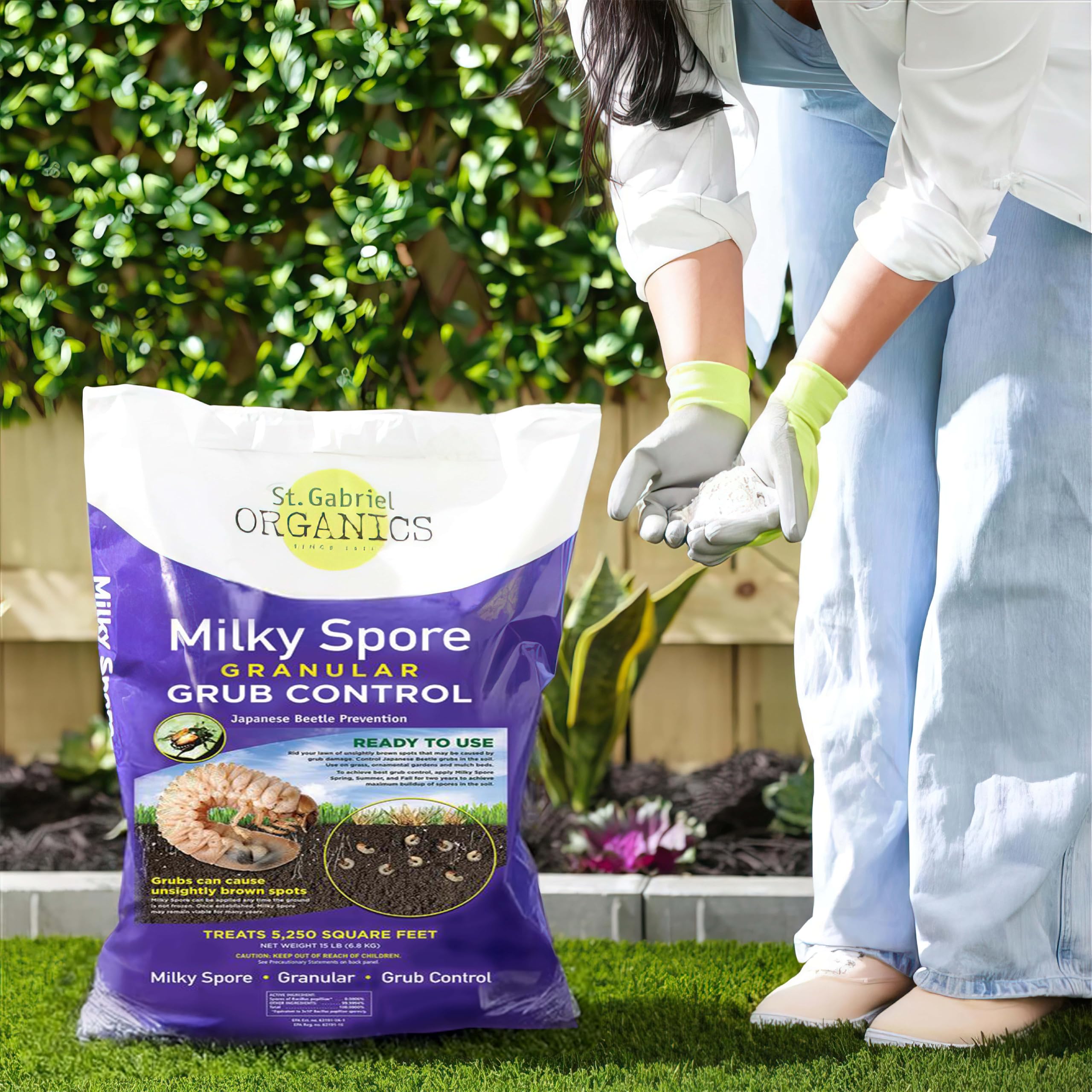 St. Gabriel Milky Spore granules close-up highlighting natural pest prevention.