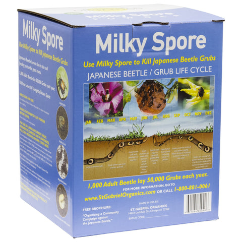 ST. GABRIEL Milky Spore powder spread on lawn to naturally deter beetle grubs