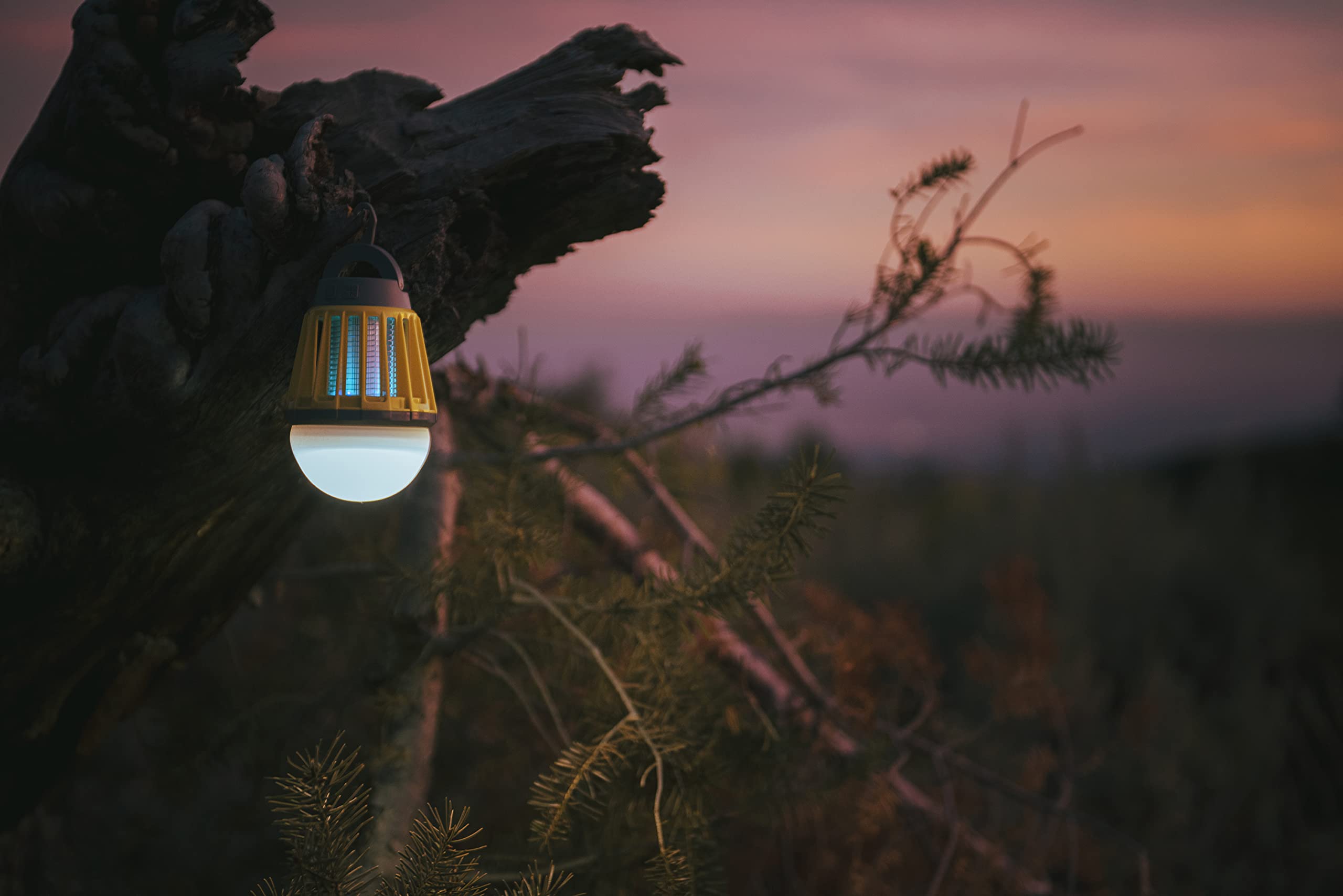 Stansport 500v grid targets mosquitoes without sprays for a cleaner campsite