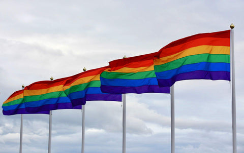 Staont flag suitable for indoor and outdoor use in any setting.