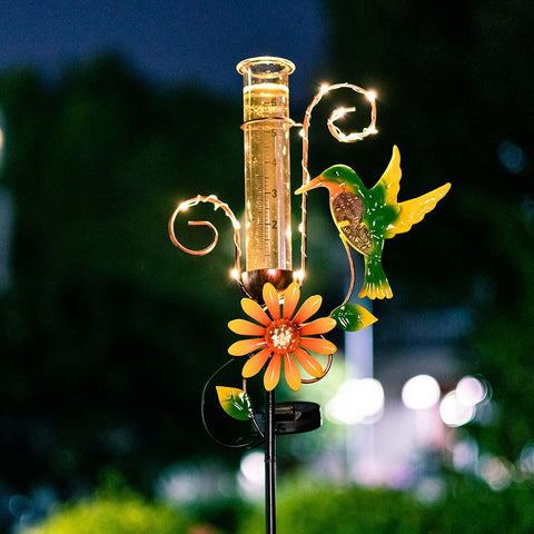 Stargarden solar-powered LED lighting adds nighttime garden ambiance.