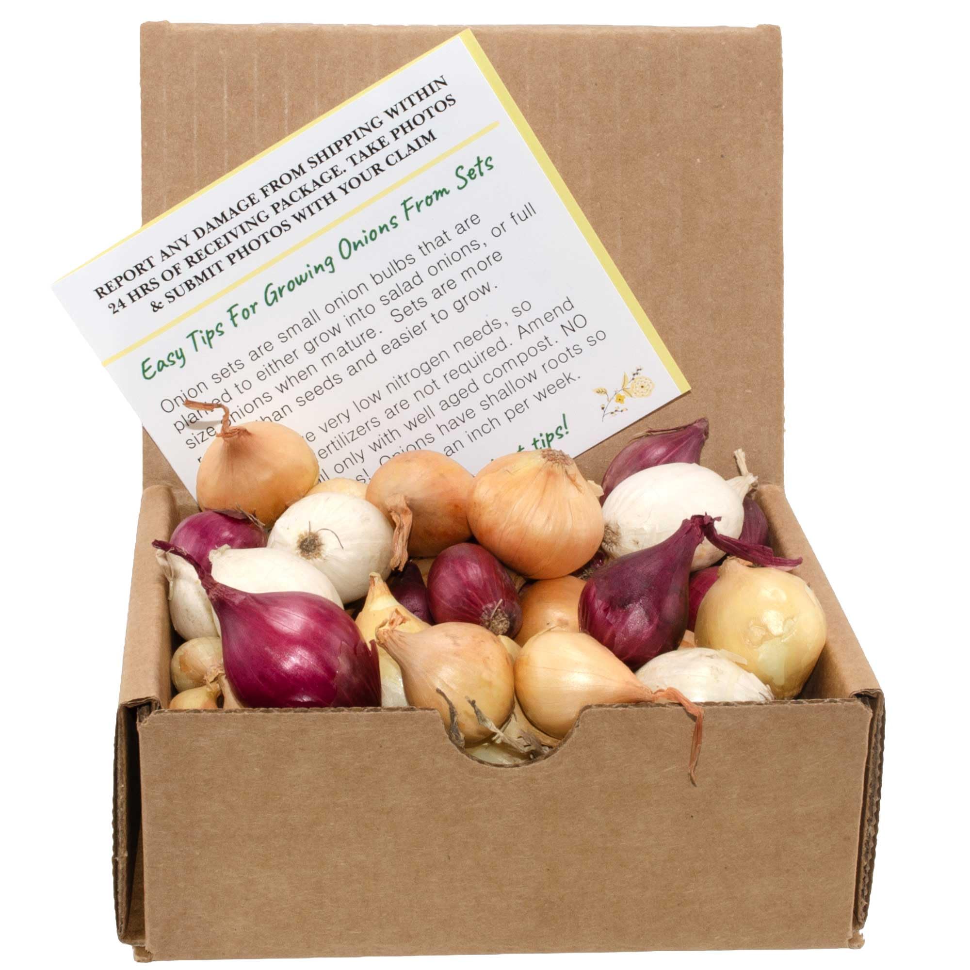 Stargazer Perennials mixed onion assortment bulbs for home garden planting