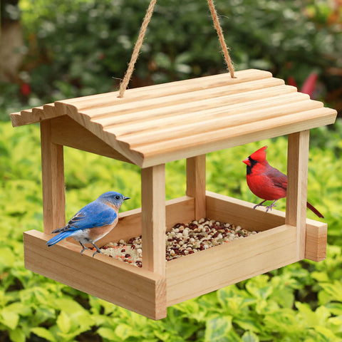 STARSWR Bird Feeder Outdoor front view with spacious platform for multiple birds.