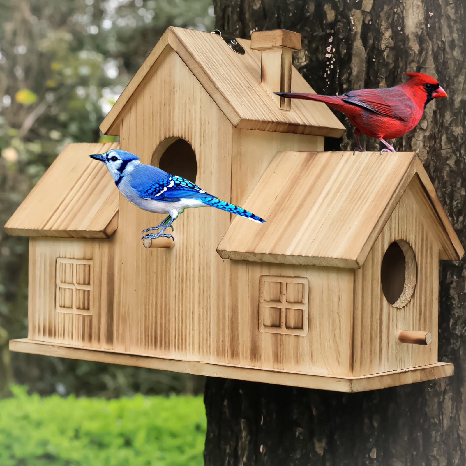 STARSWR Bird House 3-hole design for multiple bird families with easy access