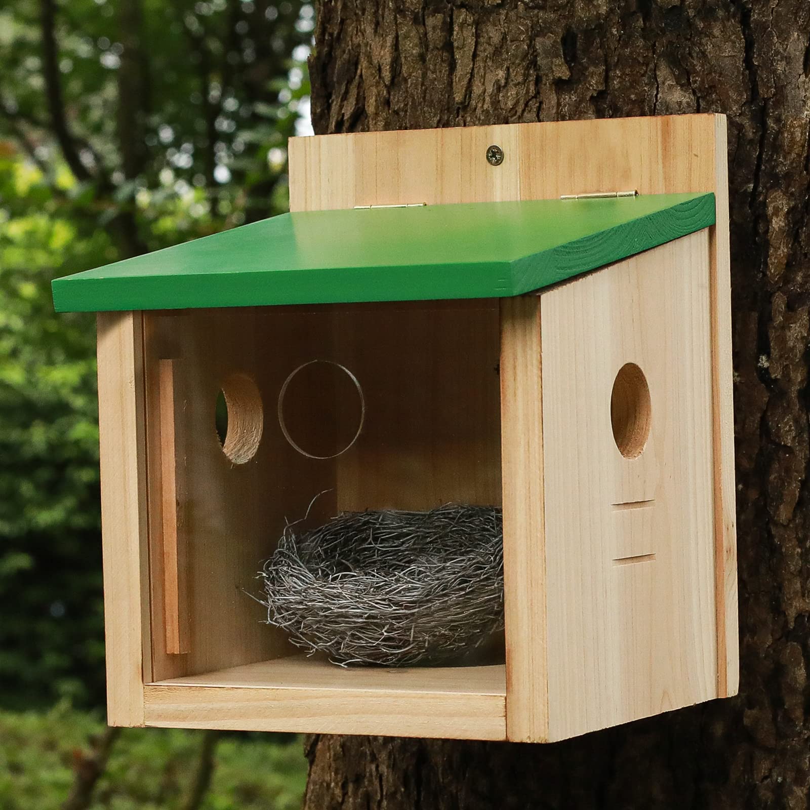 STARSWR large bluebird feeder's clear windows provide crystal viewing
