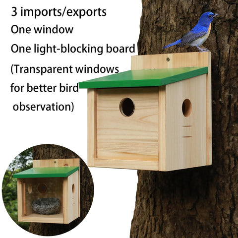 STARSWR feeder includes moisture drainage for a dry seed tray