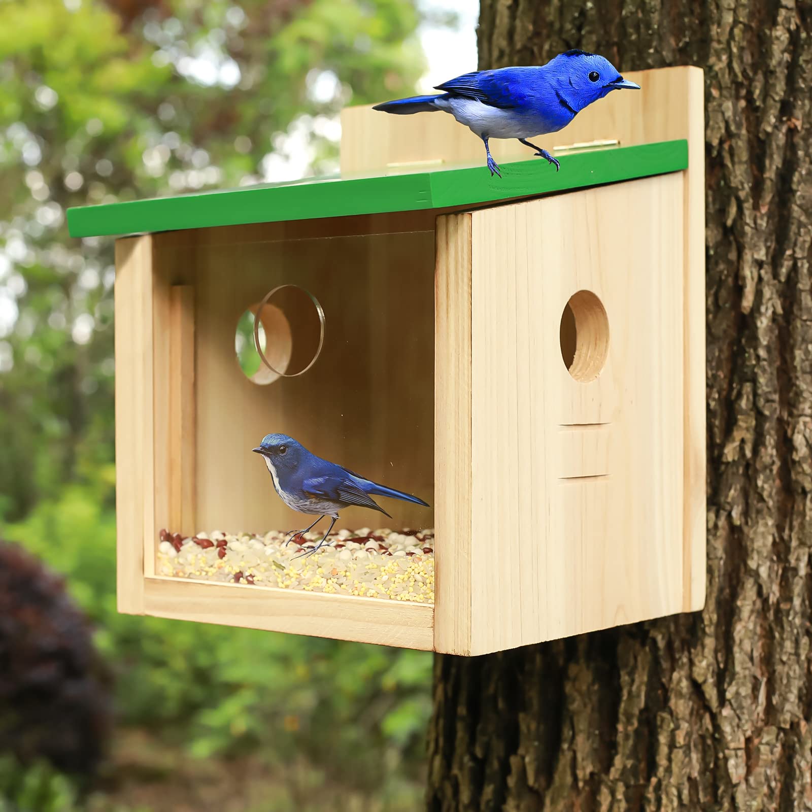 STARSWR bluebird feeder mounts to a post or pole securely