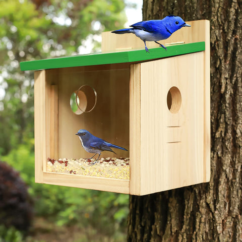 STARSWR bluebird feeder mounts to a post or pole securely