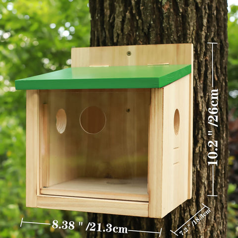 STARSWR spacious feeding area fits 3-4 birds at once