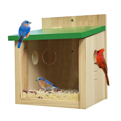 STARSWR large bluebird feeder with viewing window for close birdwatching
