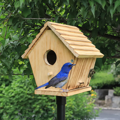 STARSWR Bird House blends with garden decor for outdoor viewing.