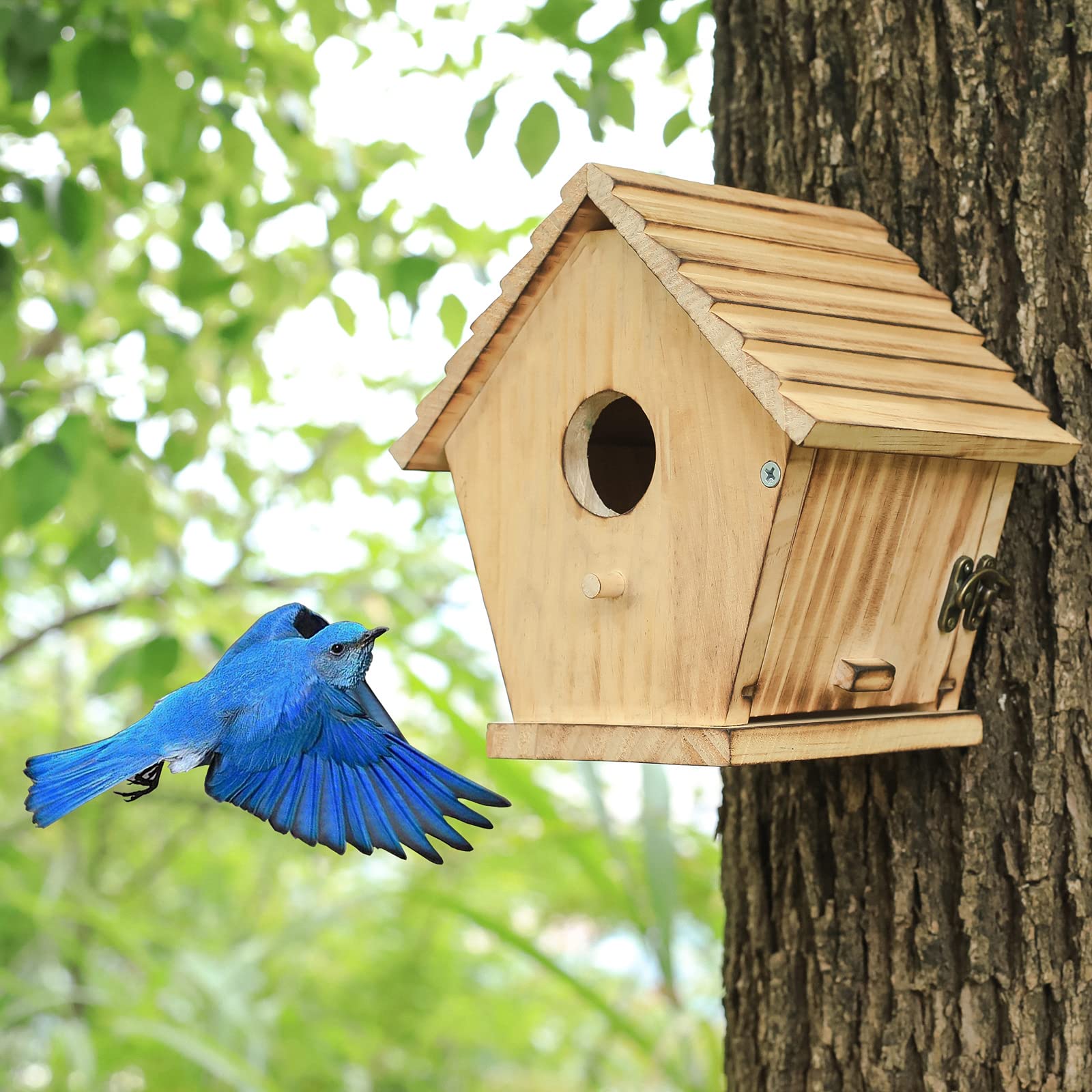 STARSWR Bird House includes a side cleaning door for easy maintenance.