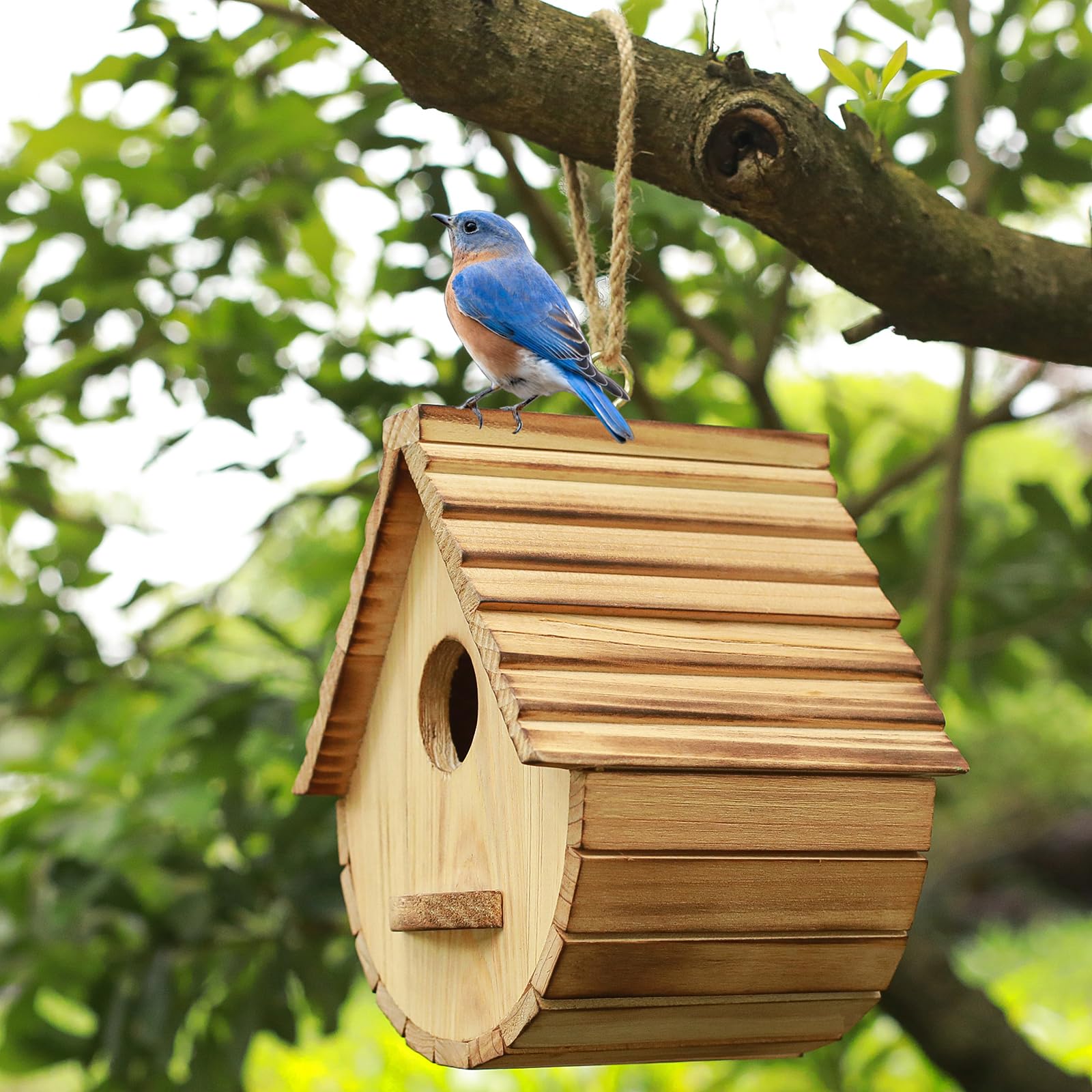 STARSWR Bird House entrance diameter 1.57 inches for safe entry
