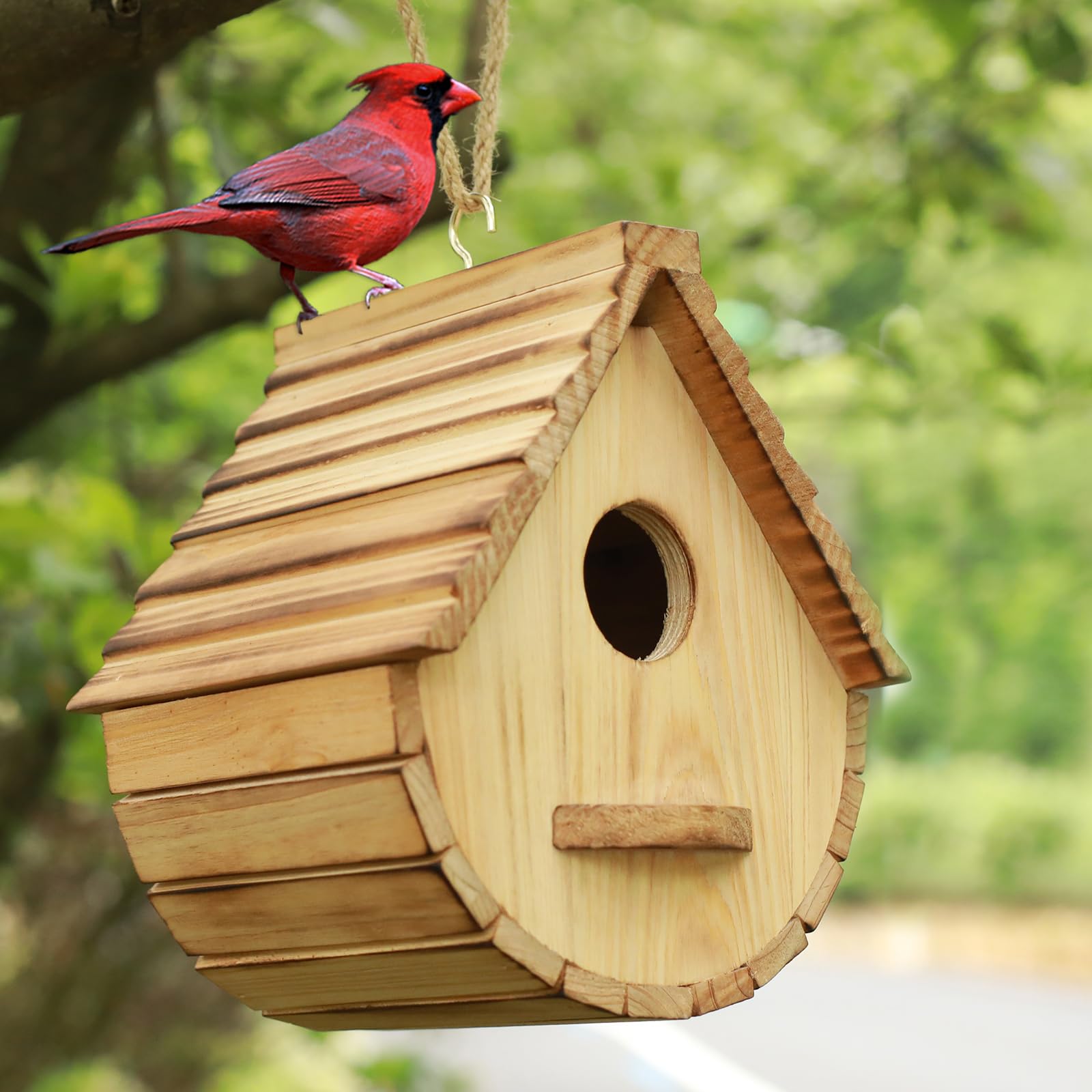 STARSWR Bird House front view shows its drop shape and entrance