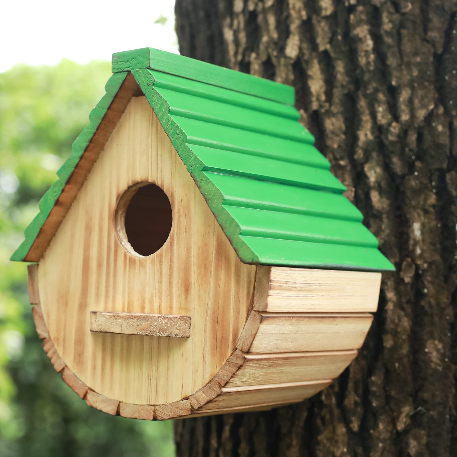 STARSWR birdhouse in the garden invites close encounters with visiting birds