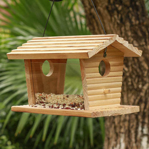 Birds feeding on the STARSWR platform create a lively backyard viewing scene