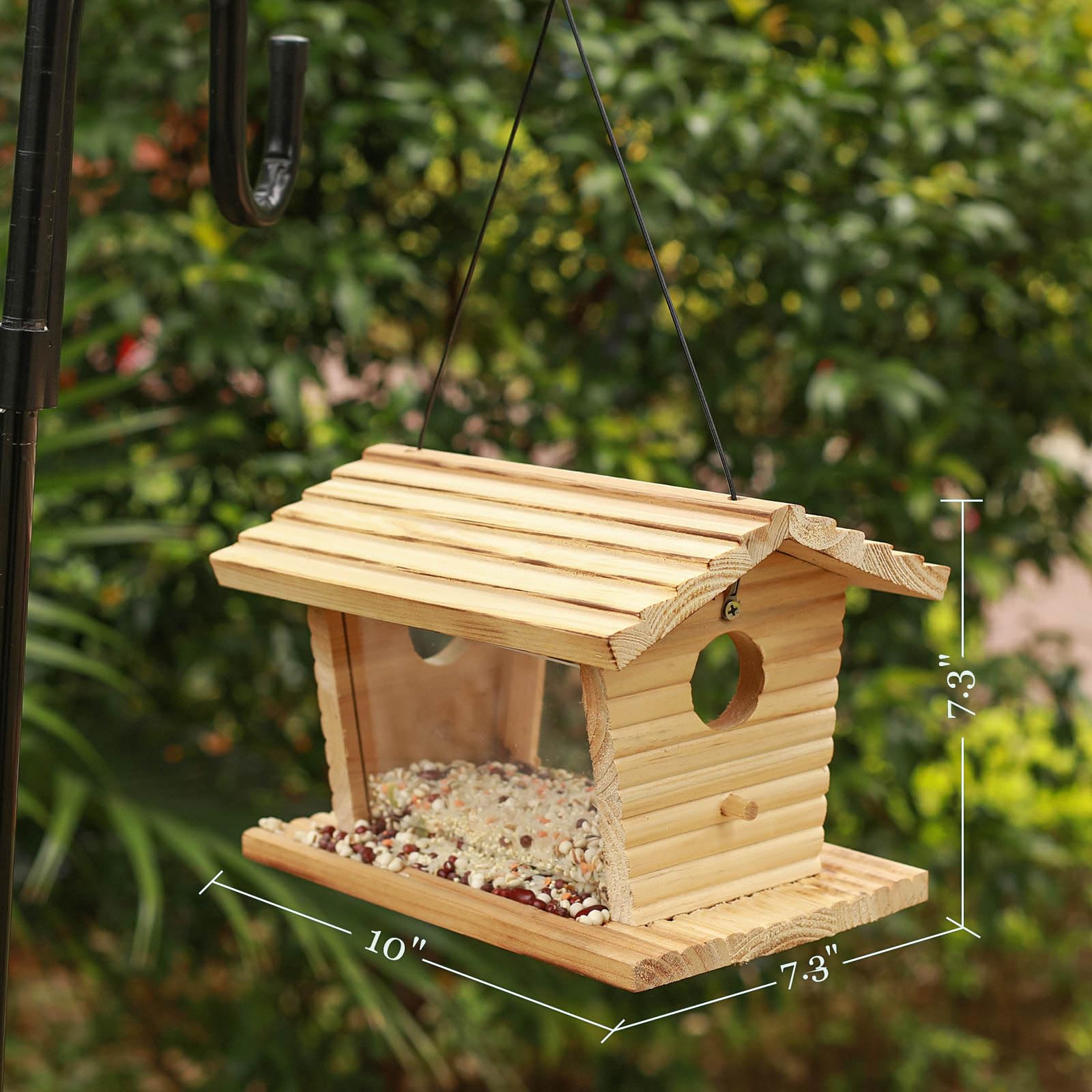 STARSWR feeder design deters rodents, keeping seeds accessible to visiting birds