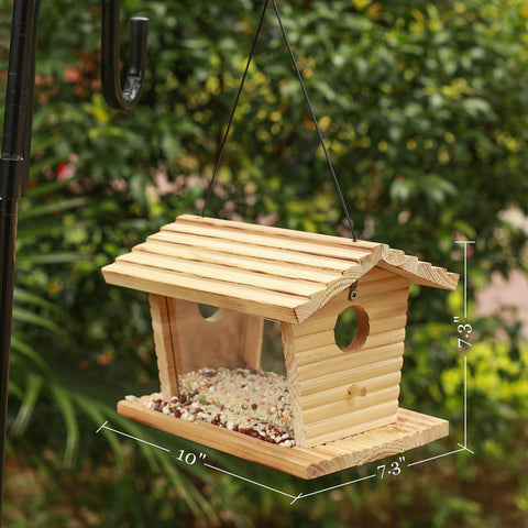STARSWR feeder design deters rodents, keeping seeds accessible to visiting birds