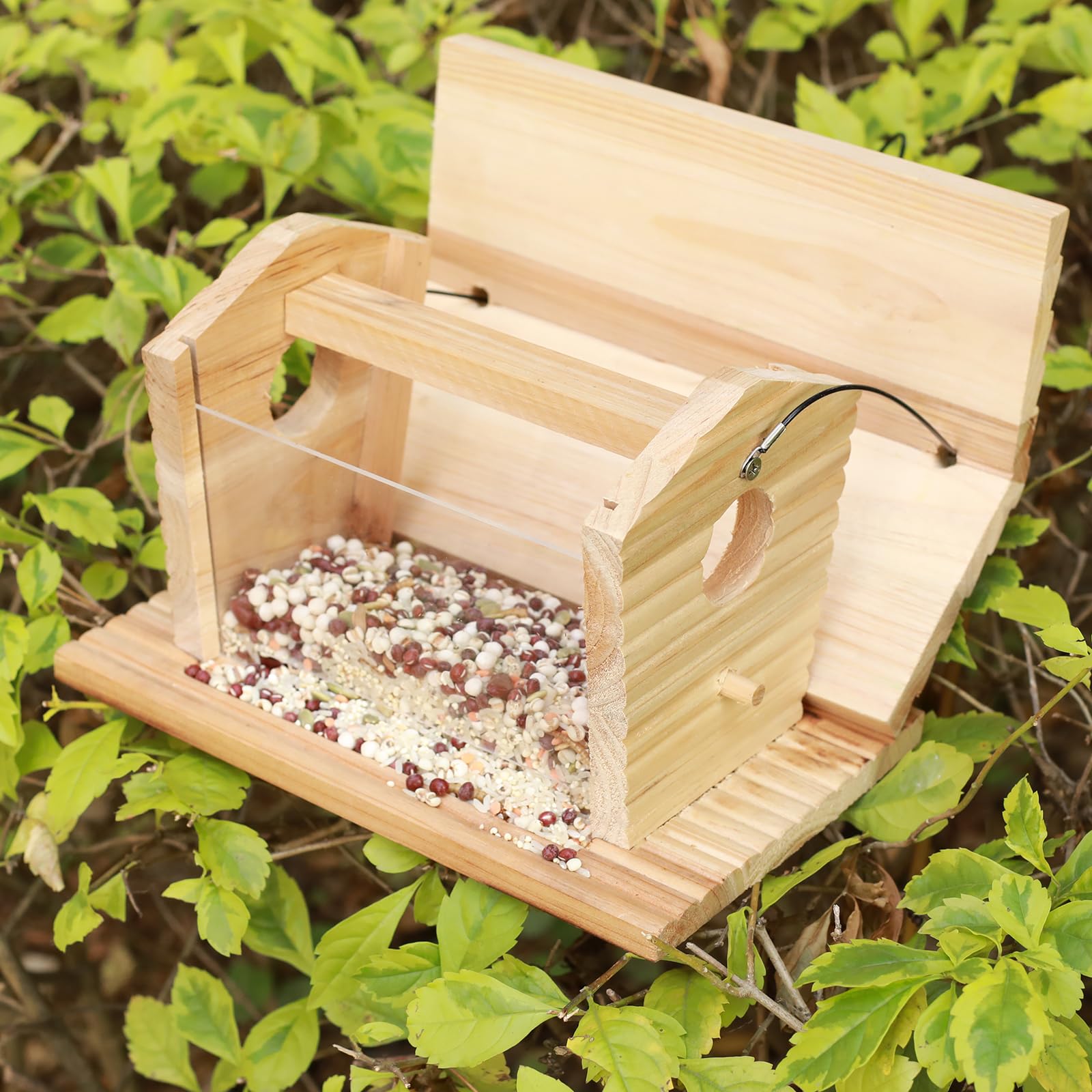 Close-up of STARSWR wooden feeder with dry-feeding tray for clean viewing