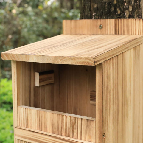 STARSWR Outdoor bird shelter withstands wind, rain, and sun.