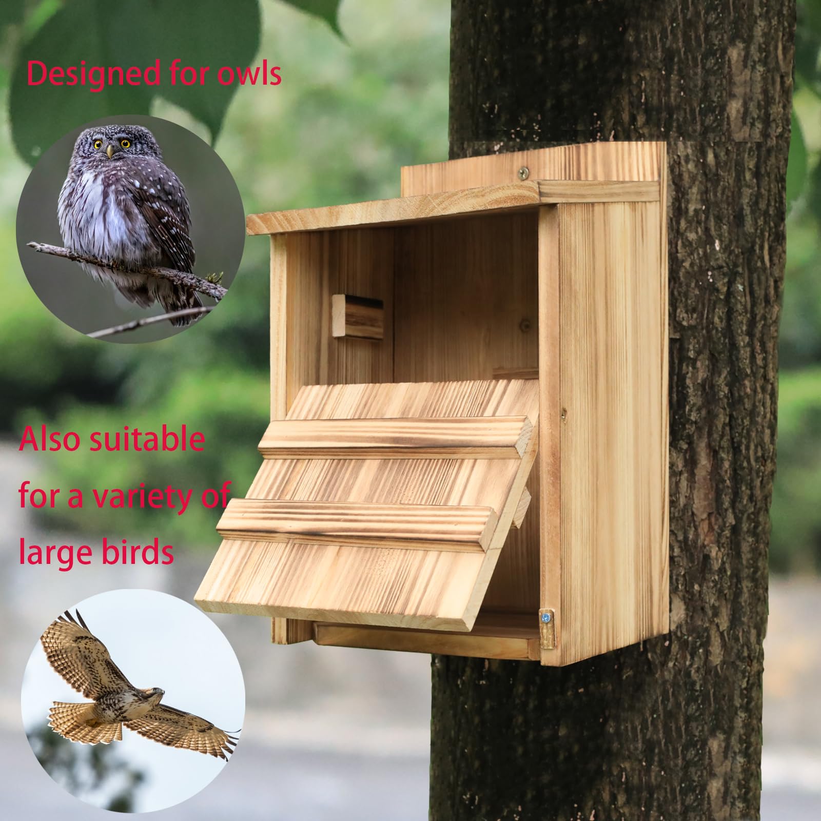 STARSWR Saw Whet Owl Box large opening provides cozy nesting space.
