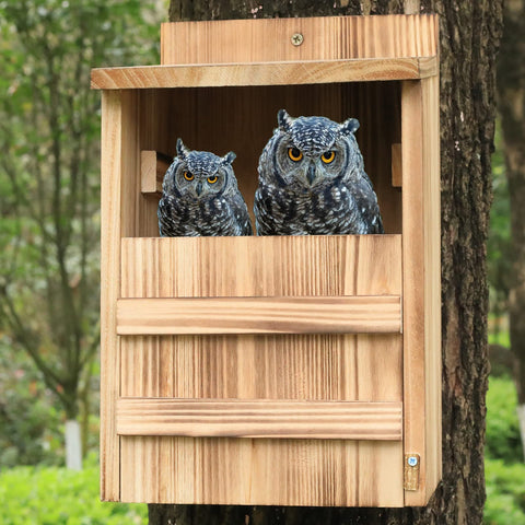 STARSWR Screech Nesting Box entrance wide opening supports easy access for owls.