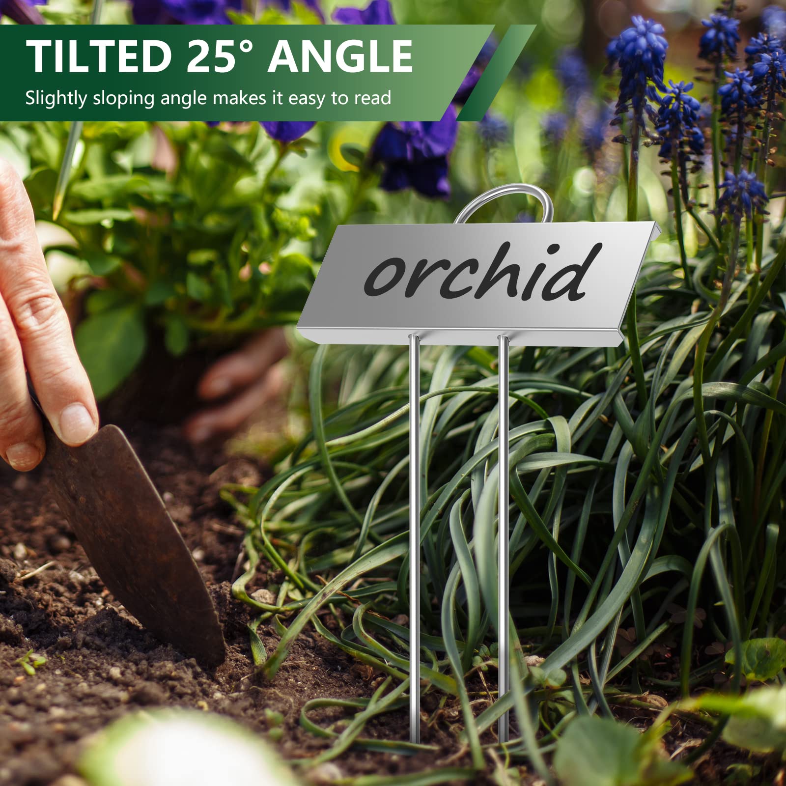 STARTOSTAR angled label area enhances readability from standing height.