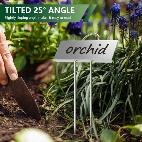STARTOSTAR angled label area enhances readability from standing height.