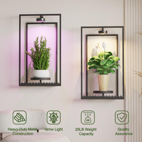 Starxing 5.5-inch deep tray holds 3–5 inch pots securely for neat arrangements.