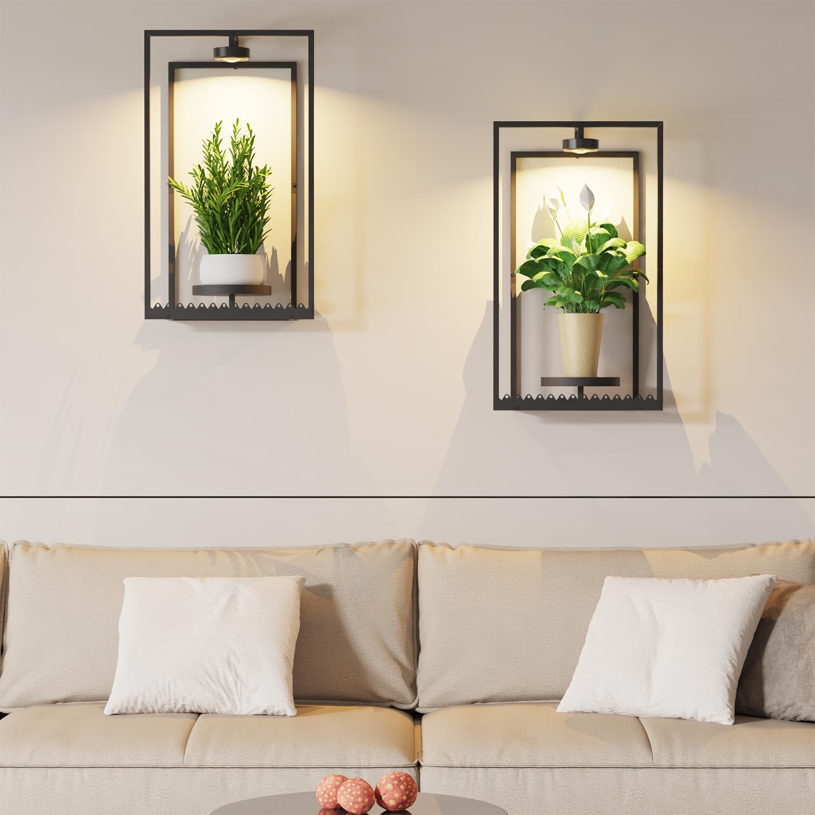Starxing LED grow lights with adjustable color temperature highlighting plant growth.