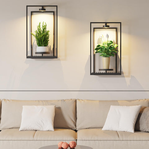 Starxing LED grow lights with adjustable color temperature highlighting plant growth.