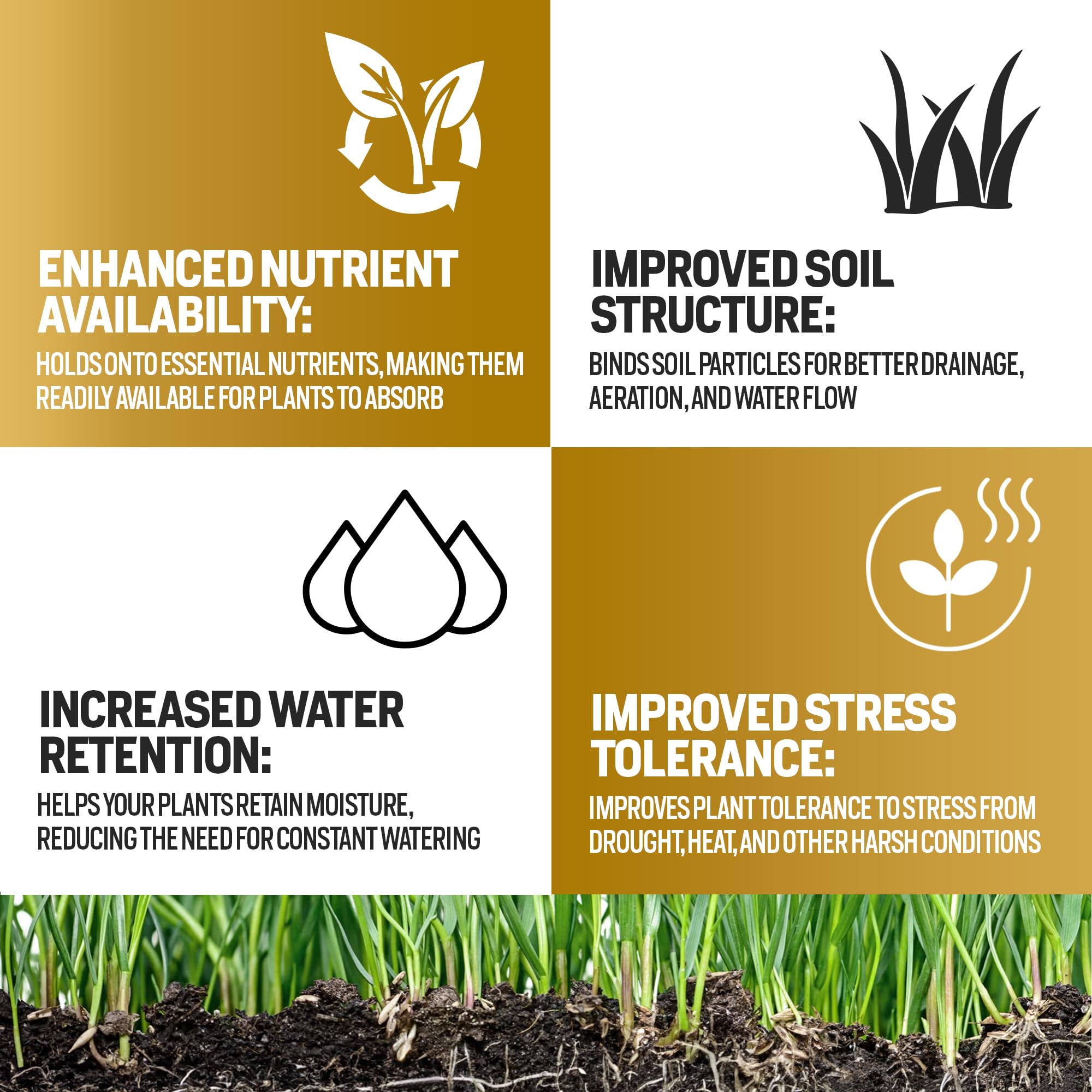 Stateside crumbly soil structure with Humic Acid supports root growth and stronger turf.