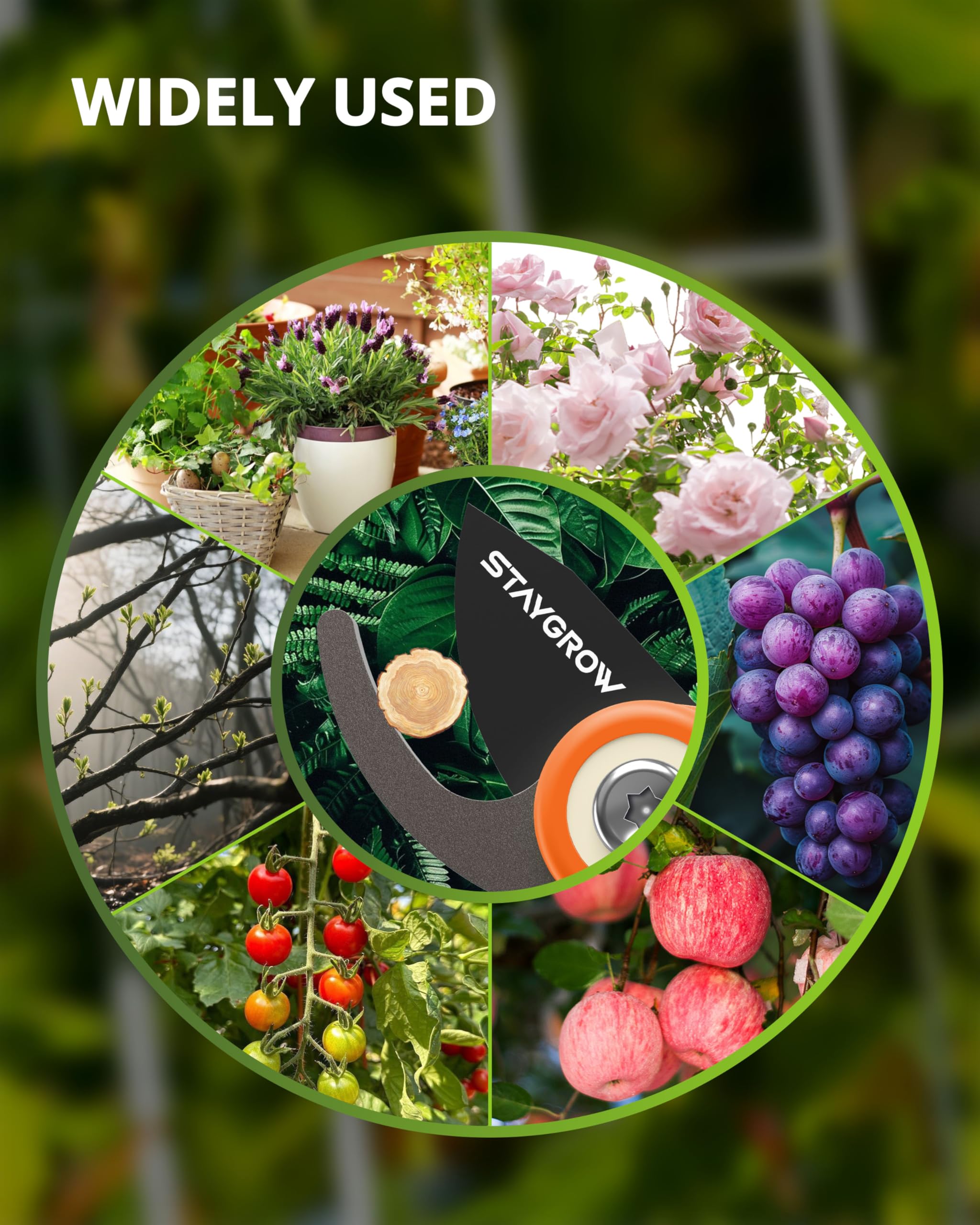 STAYGROW lifetime care coverage signals lasting durability and support.