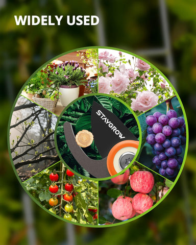 STAYGROW lifetime care coverage signals lasting durability and support.