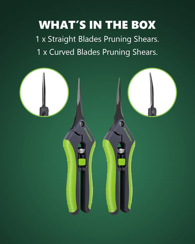 StayGROW pruning shears for harvesting herbs, trimming flowers and vegetables
